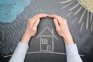 lionstone-business-owners-policy