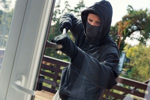 lionstone-crime-insurance